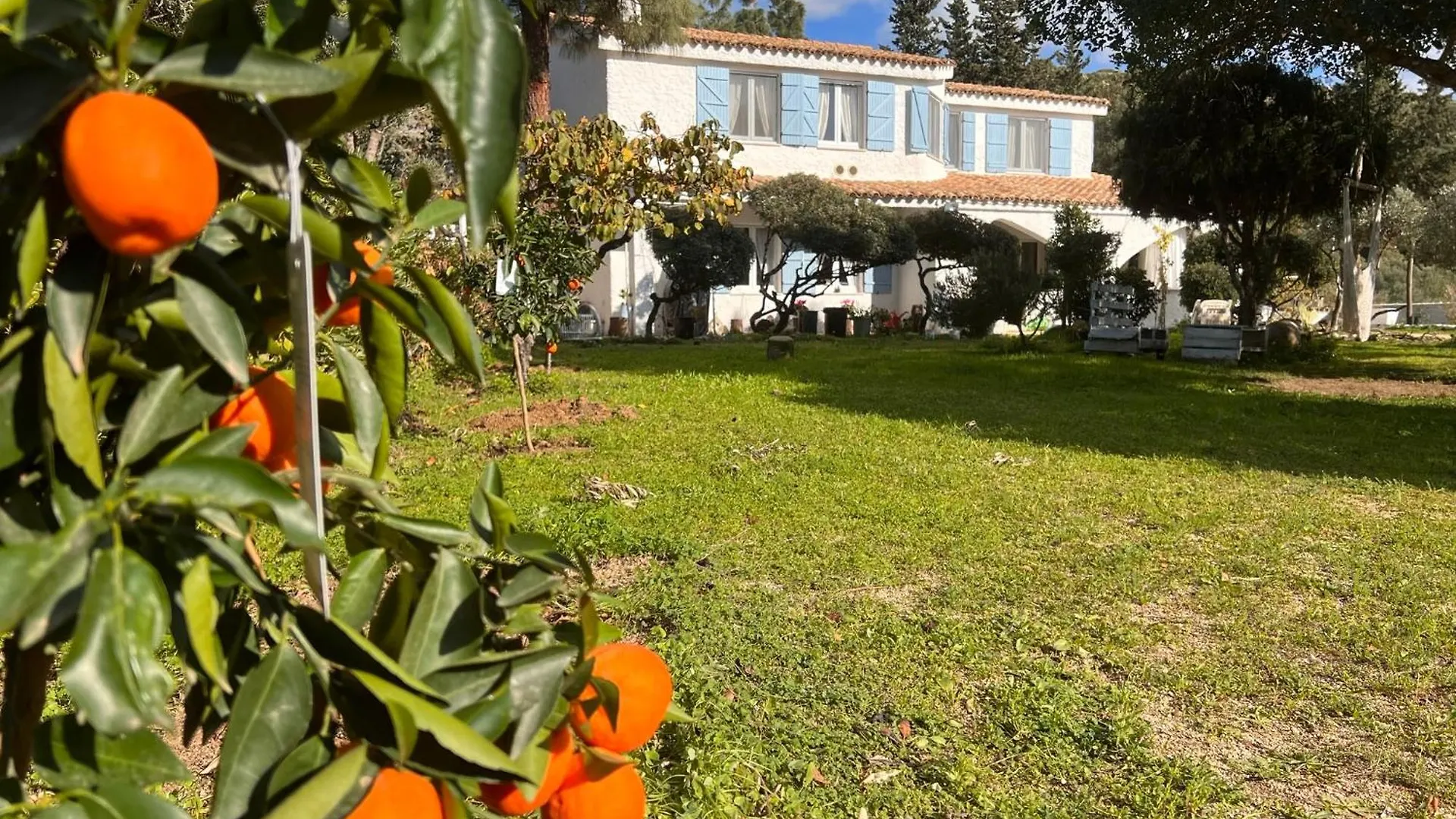 Villa Silmar Capitana